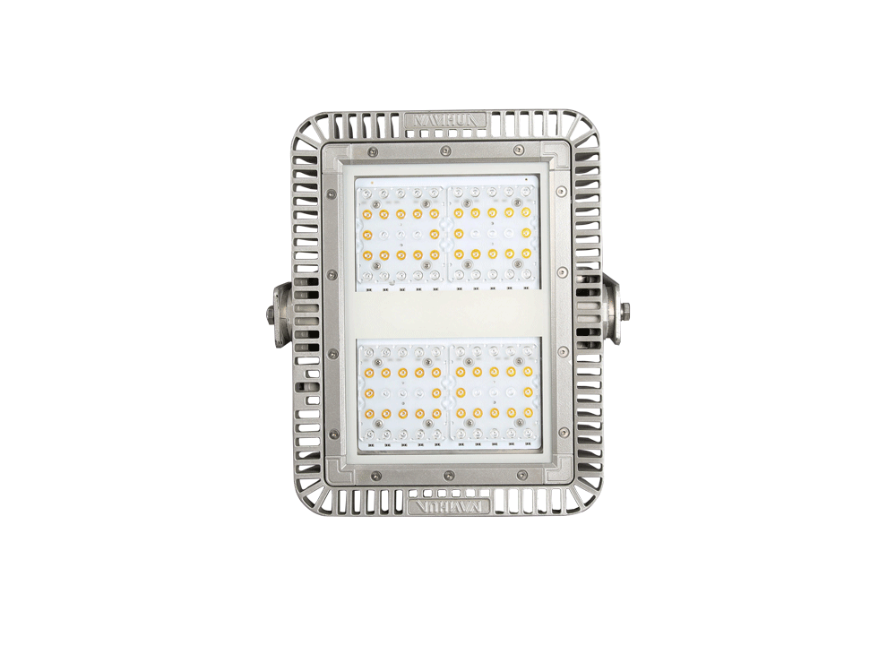 LF30 LED Floodlight